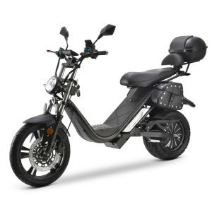 Roterdamas piegādātājs  4000 W Citycoco sieviešucycle